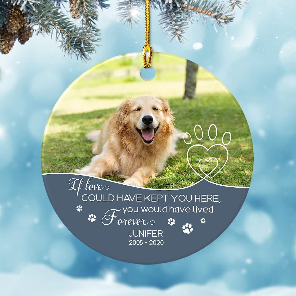 Custom Photo My 1st Christmas In My Forever Home, Custom Cat